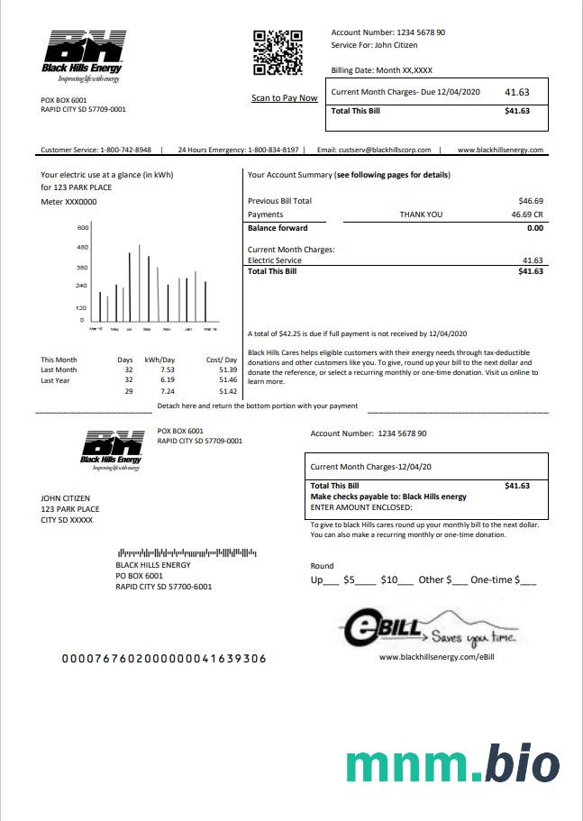 USA South Dakota Black Hills Energy rachunek za media szablon w formacie Word i PDF